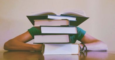 Un premier article pour voir